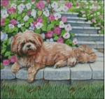 (image for) Lounging Lhasa Apso